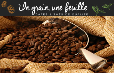 un-grain-une-feuille