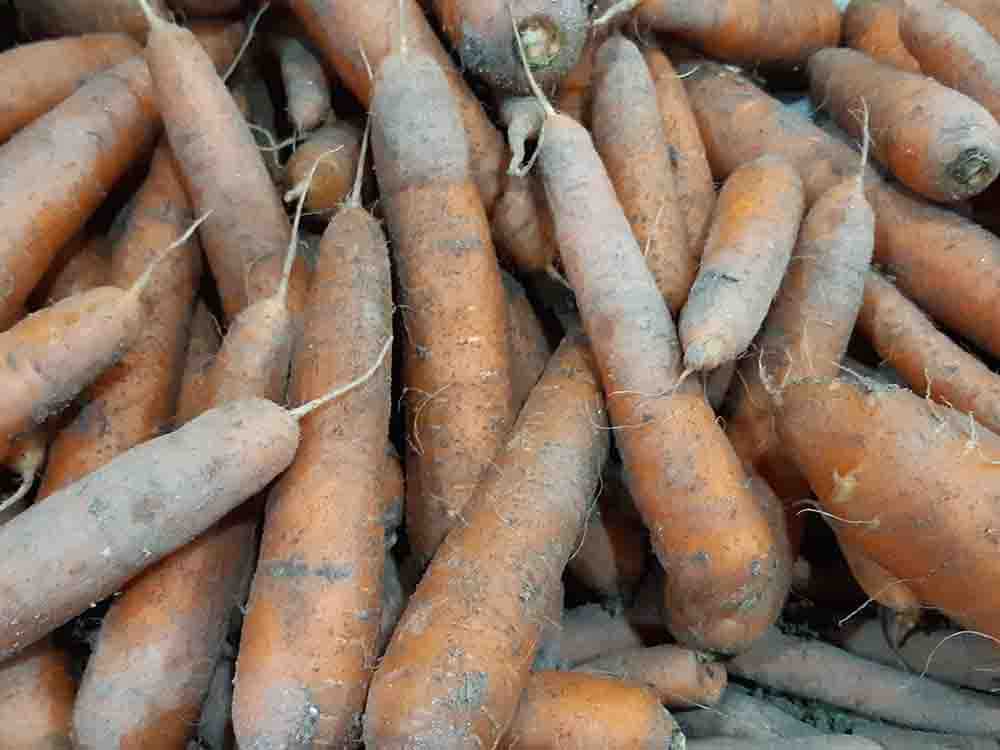 La Carotte en vrac - mon-marché.fr